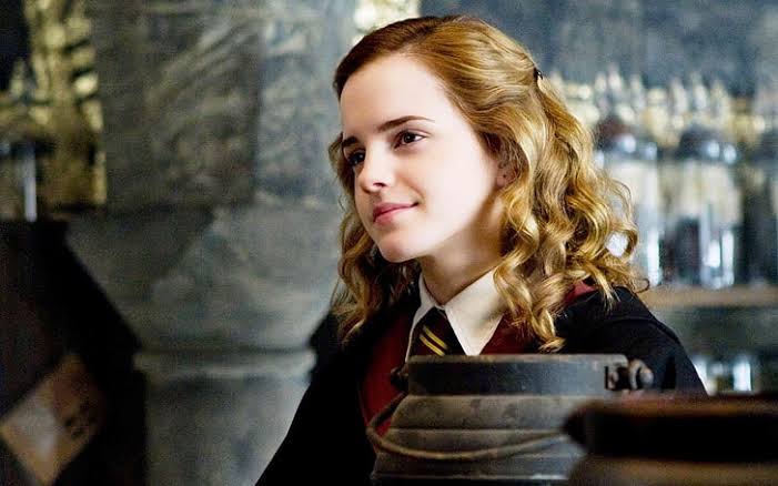 Hermione Granger with Time-Turner in the Wizarding World timeline, Harry Potter characters’ brain.