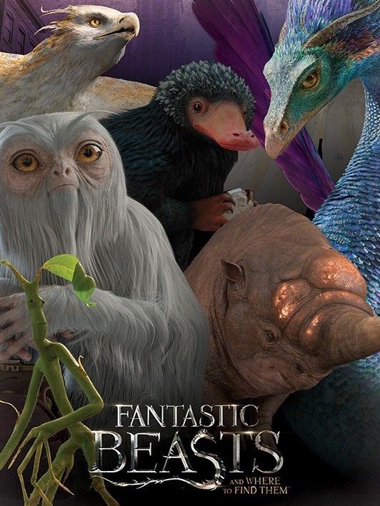 Bowtruckle, Thunderbird, and Occamy as Fantastic Beasts magical creatures in Newt’s suitcase.